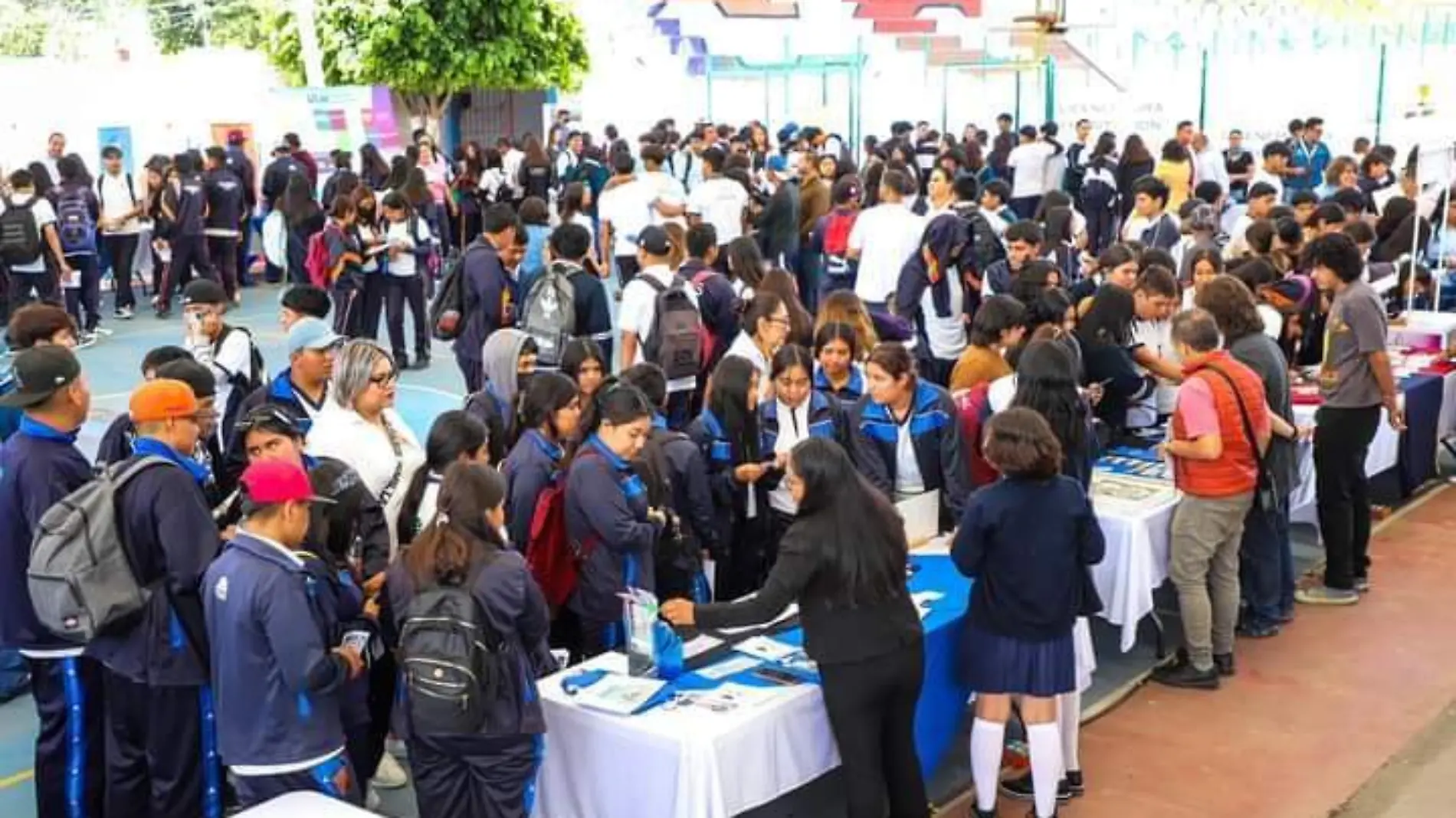 Más de 800 alumnos